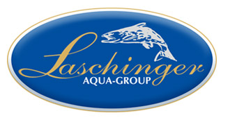 Laschinger Logo